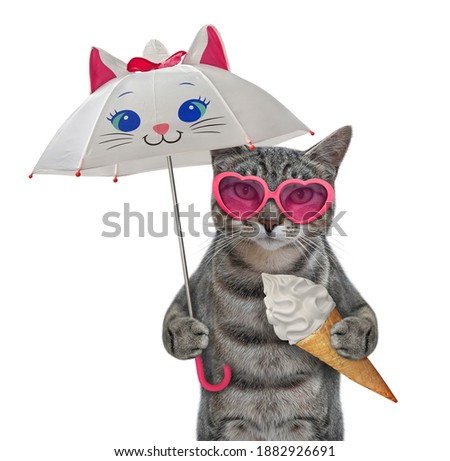 A gray cat in pink sunglasses with an ice cream cone stands under an umbrella. White background. Isolated.