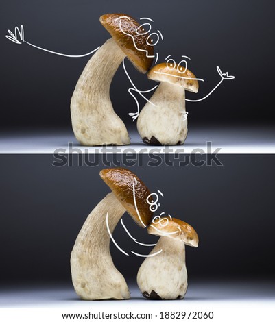 Beautiful cep mushroom with its child - another small mushroom.  AR drawn as they a funny cartoon characters. Two picture in one.
