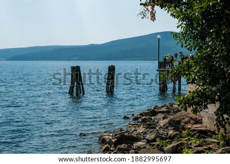 wooden pylons on the lake of Bracciano in sunny day. High quality photo