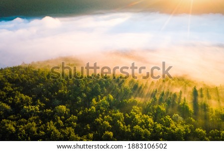 Majestic misty view of tree tops with the rays of morning light. Location place Dniester canyon of Ukraine, Europe. Aerial photography, drone shot. Photo wallpaper. Discover the beauty of earth.