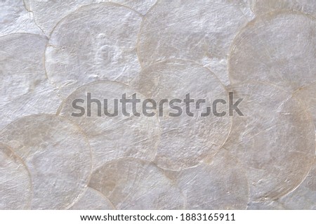tray made of mother of pearl discs Royalty-Free Stock Photo #1883165911