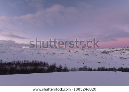 In winter, the tundra is covered with snow. Pink sunset.