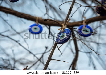 Blue evil eye beads hanging with a rope on the tree branch.