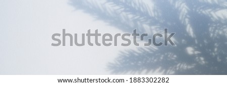 blurred photo of a shadow from a christmas tree branch on a white gray background of a wall or table. banner