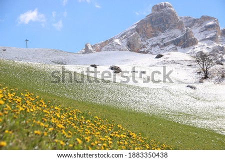 In this picture you can see the beauty of spring. The snow that felt on the meadows contrasts with the yellow flowers and the blue sky