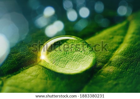 Beauty transparent drop of water on a green leaf macro with sun glare. Beautiful artistic image of environment nature in spring or summer. Royalty-Free Stock Photo #1883380231