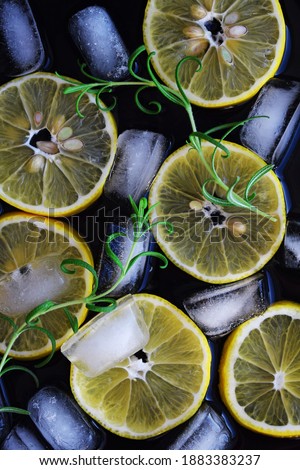 Fresh sliced lemon, a sprig of rosemary and ice cubes on a black background.