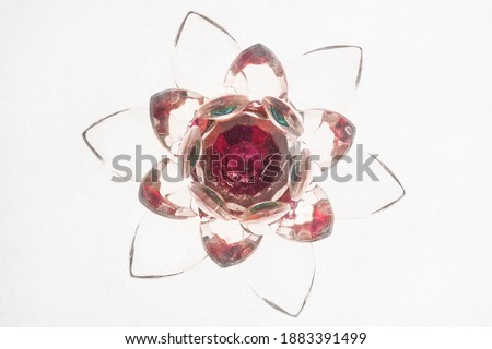 Glass Lotus flower on white background. Flower garnet color.