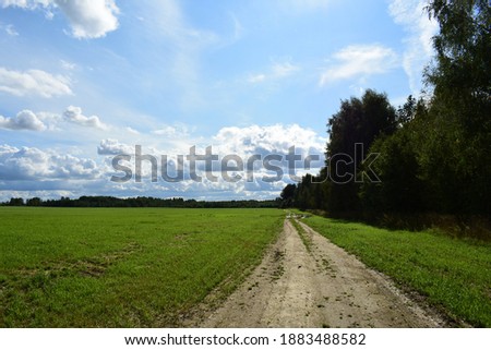 A Sunny field of green grass. The forest and the road. Blue sky and clouds.