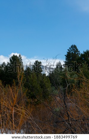 View of the mountain from Washoe Meadows State Park