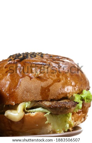Freshly fried burger lie on a plate against the white background. Juicy fried dinner. 