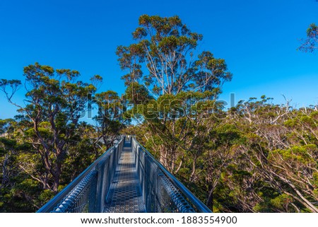 Valley of the giants tree top walk in australia