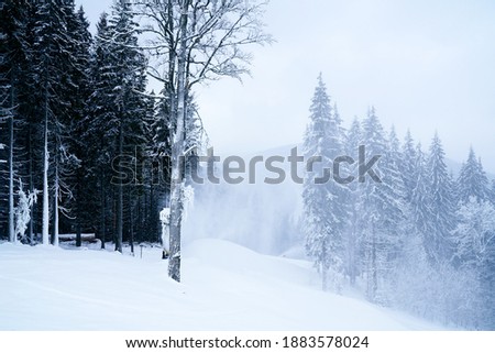 The photo shows a snowy mountain landscape                               