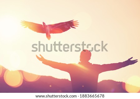 Man raise hand up on top of mountain and sunset sky star with eagle bird fly abstract background. Copy space freedom travel adventure and business victory concept. Vintage tone filter effect color.