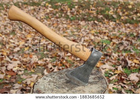 Hatchet stuck into a splitting block surrounded  by leaves Royalty-Free Stock Photo #1883685652