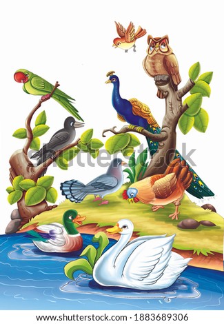 Coloured illustration, birds, parrot, owl, peacock, swan, duck, pigeon, and many more. Beautiful illustration with attractive digital colouring