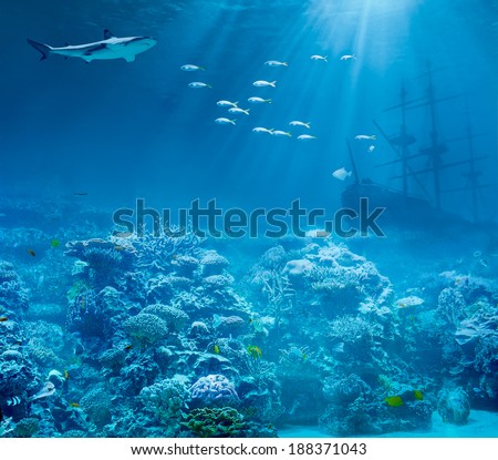 Sea or ocean underwater with shark and sunk treasures ship Royalty-Free Stock Photo #188371043