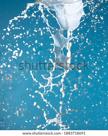 Splashes of white milk isolated on a blue background. Drink