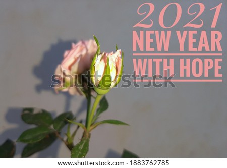 New year quotes 2021. Motivational and inspirational quotes on rose flower background. Quotes about blooming Flower bud  