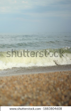 Sea wave. Black sea beach