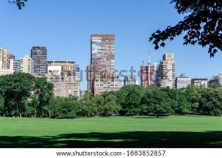 Stunning landscape of Centralpark in Newyork city