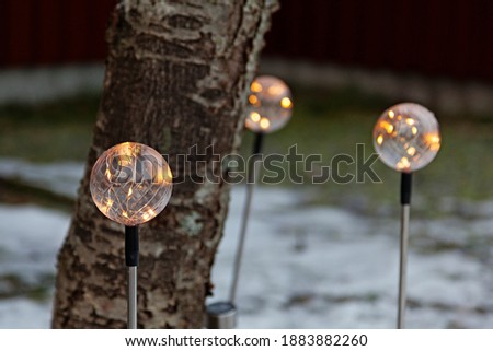 decorative candles around a birch at Christmas time