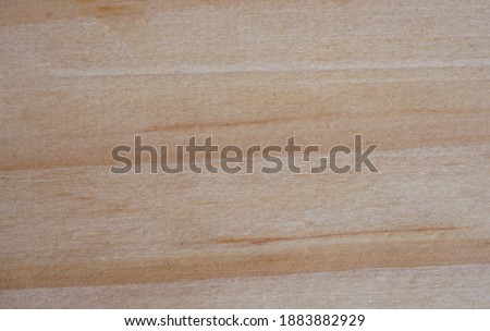 Smooth wood texture background with copy space for design or text. High quality for your work. concept of wallpaper or website. natural materials and beautiful patterns