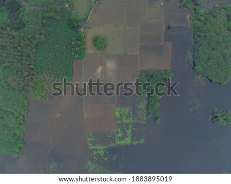 drone shot aerial view top angle photo agricultural fields lands green meadows background wallpaper india tamilnadu madurai rural paddy cultivation plantain irrigation canal lake sea 