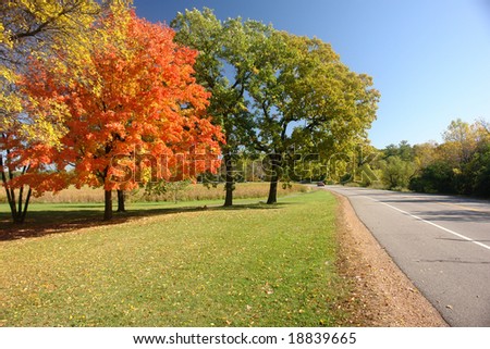          A picture of colorful autumn trees beside countryside roadway