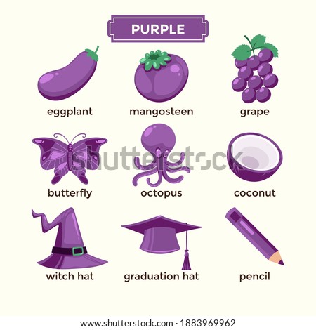 Flashcards for learning purple color and vocabulary set