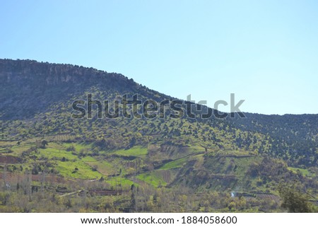 cloudy blue sky with trees and mountain