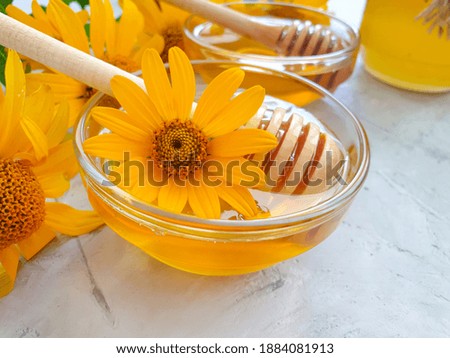 fresh honey yellow flower on concrete background