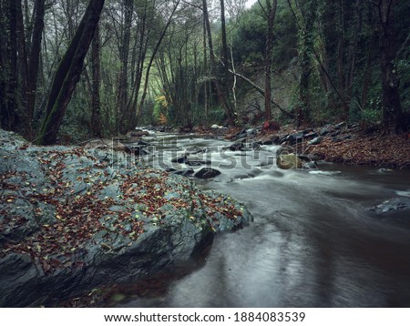 Stream located in the Massis del Montseny on an autumn day