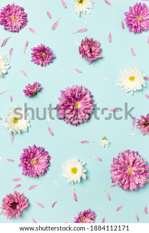 Flowers composition. Pattern made of colorful flowers on pastel blue background. Spring, easter, summer concept. Flat lay, top view.