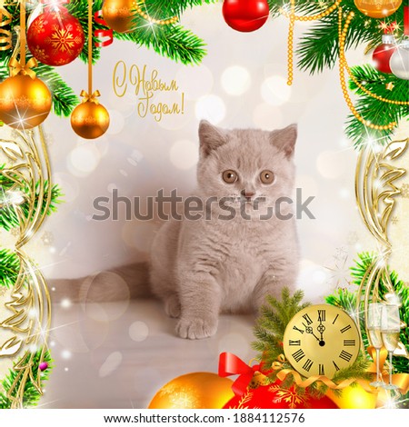New year post card with kitten