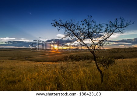 Sunset at fields of Serra da Canastra National Park - Minas Gerais - Brazil Royalty-Free Stock Photo #188423180