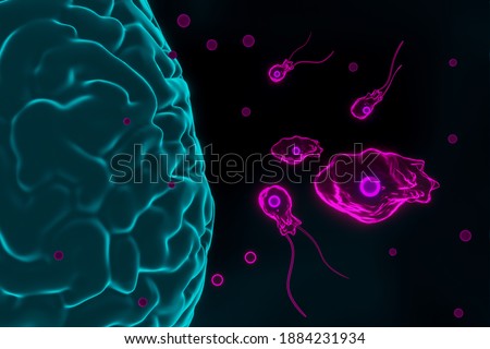 Brain-eating amoeba infection, naegleriasis. Flagellate forms, trophozites and cysts of the parasite Naegleria fowleri,3D render