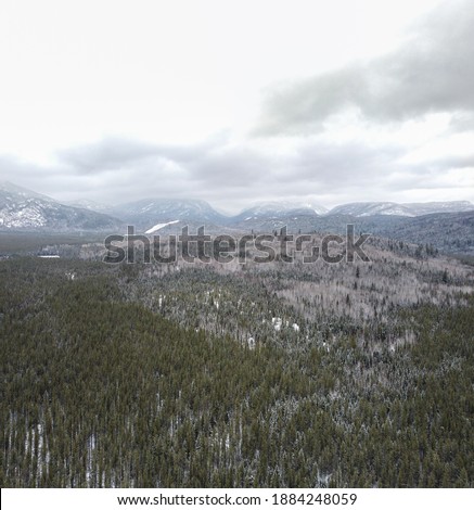 Panoramic View on winter pine tree forest and mountains in Hautes Gorges de la riviere Malbaie National park