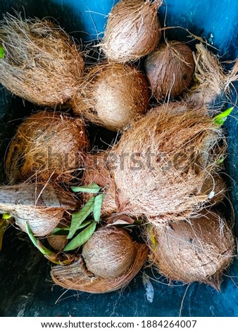 This picture shows some coconuts that have been peeled which can be used to get coconut milk.