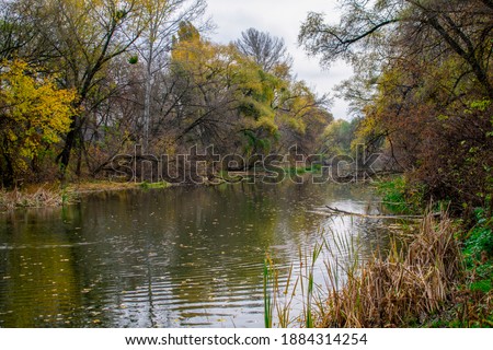 Beautiful view of the river with fallen leaves