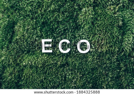 Word Eco on moss, green grass background. Top view. Copy space. Banner. Biophilia concept. Nature backdrop.