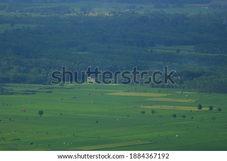 photos of beautiful natural scenery of rice fields and mountains.