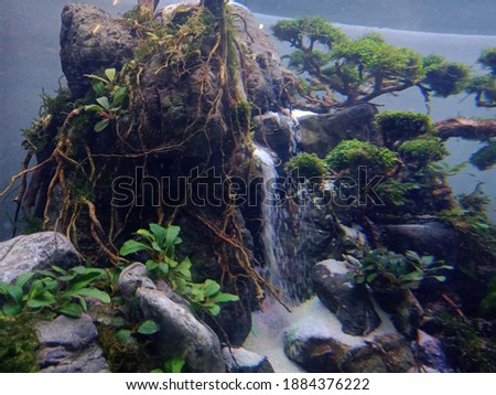structure of aquascape for inspiration