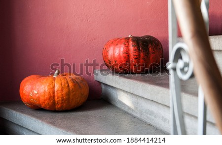 pumpkins stand decoratively in the staircase