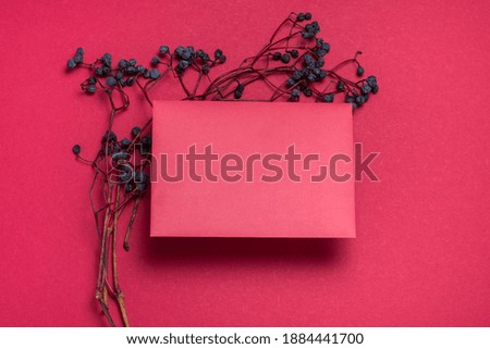 Wild grapes and blank paper sheet, red background