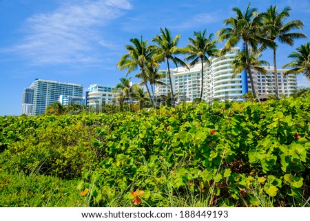 Scenic Miami Beach on a sunny day with condos and resort hotels.