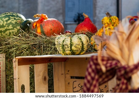Special installations during the pumpkin festival in Santa Maria Maggiore, Vigezzo Valley, Verbania, Piedmont, Italy
