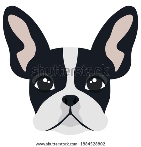 Head of French Bulldog. Cute pet in cartoon style.