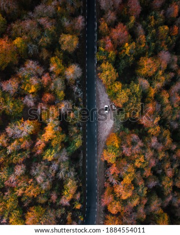 Overhead aerial photo of a road in the middle of autumn trees with a car in the middle