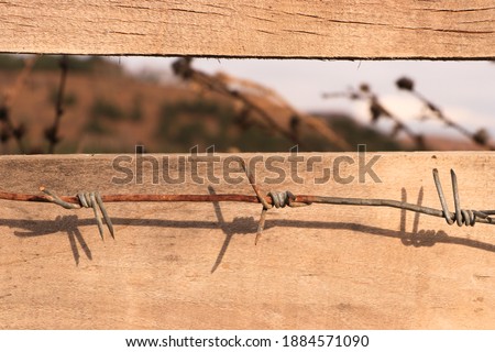 Barbed wire on the background of a wooden fence with a blurred background. Protective fence.
